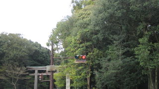 癒しの空間です