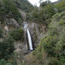 展望台から見える全景