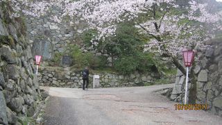 松阪城址が公園です。