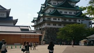 テレビや雑誌ではダメ。生で見るべき。