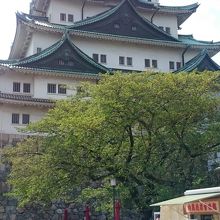 ホントにデカイ。