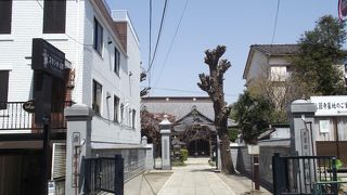 見事な彫り物が付いた向拝が二つある非常に珍しい本堂です