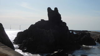 シロエリオオハムを見てきました。