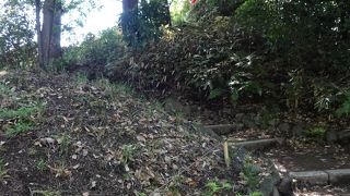 峠の上は展望台なので、上がってみると良いです。