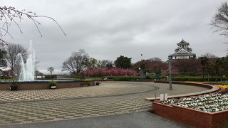 広くてきれいな公園です