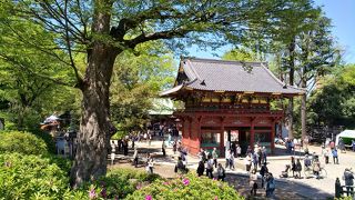 何度行っても魅力的