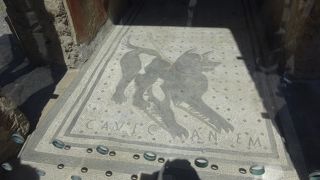 番犬のモザイク