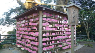 ピンクの絵馬が印象的です