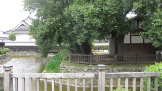 この風景はいいですよ