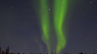 確率１００％でオーロラ鑑賞