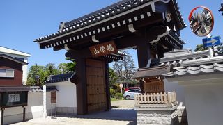 遠山の金さんもここで眠る。