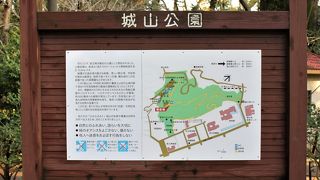 緑豊かな公園