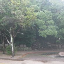 鵜の森らしいでしょうか。