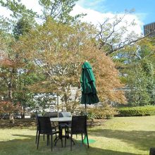 店内から見た風景