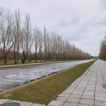 未だ水が張られていません。