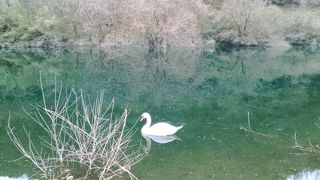 大原湖（佐波川ダム）