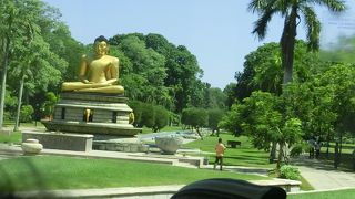 緑豊かな大きな公園です