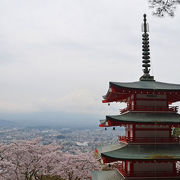 新倉山浅間公園の忠霊塔と桜・富士山