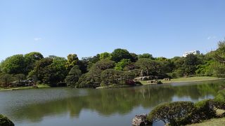 池が周囲と良く調和。