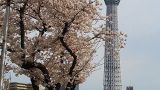 桜の咲く頃も良い