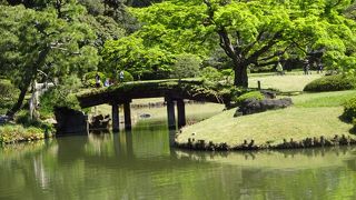 ここは見るだけで渡れません。