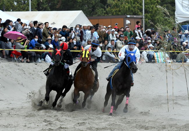 さがら草競馬大会