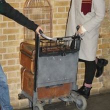 杖もありました