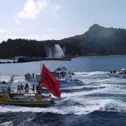 おがさわら丸出港時の村人総出の見送りに感激！