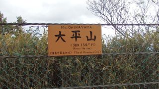 天園ハイキング