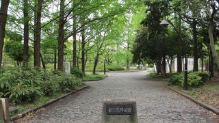 緑豊かな広い公園です