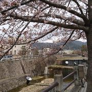 芦屋を流れる綺麗な川