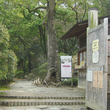 庭園の入り口です。