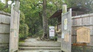 西の丸庭園です。