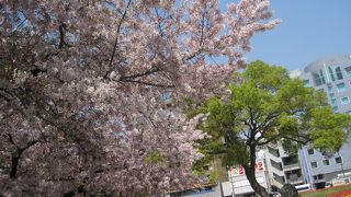 駅前に広がる公園