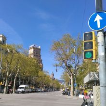 なかなか見ていて落ち着く大通り