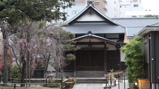 境内の枝垂桜は咲き始めでした