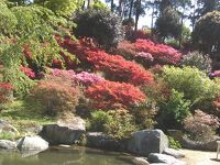 浮岳幸花樹園