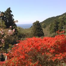 上から見下ろす