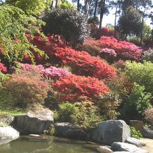 浮岳幸花樹園