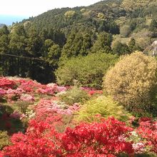 上から見下ろす