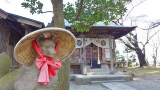 編み傘を被った狐が珍しいです