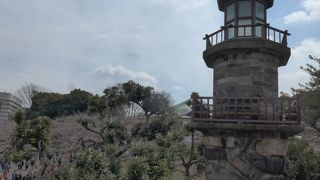 高燈篭 （タカトウロウ）を偶然にも見つけました