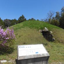 国史跡散田金山古墳