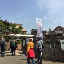 イベント中は盆栽村に外国人訪問者が増えていました。