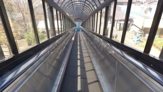 これに乗っても最後に石段がありますよ