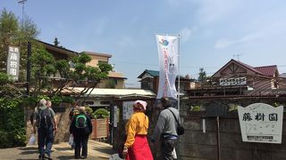 今年は世界盆栽大会inさいたまが開催されています！