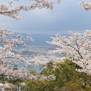 多宝塔周辺が見どころ