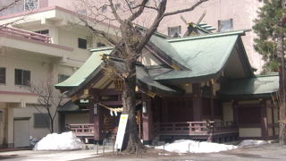 雪吊りの木々の様子が風情ありました