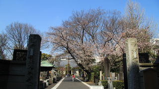 四軒寺で最大の寺院