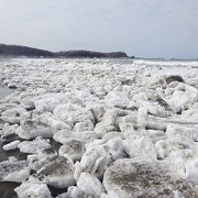 4月24日に流氷が！